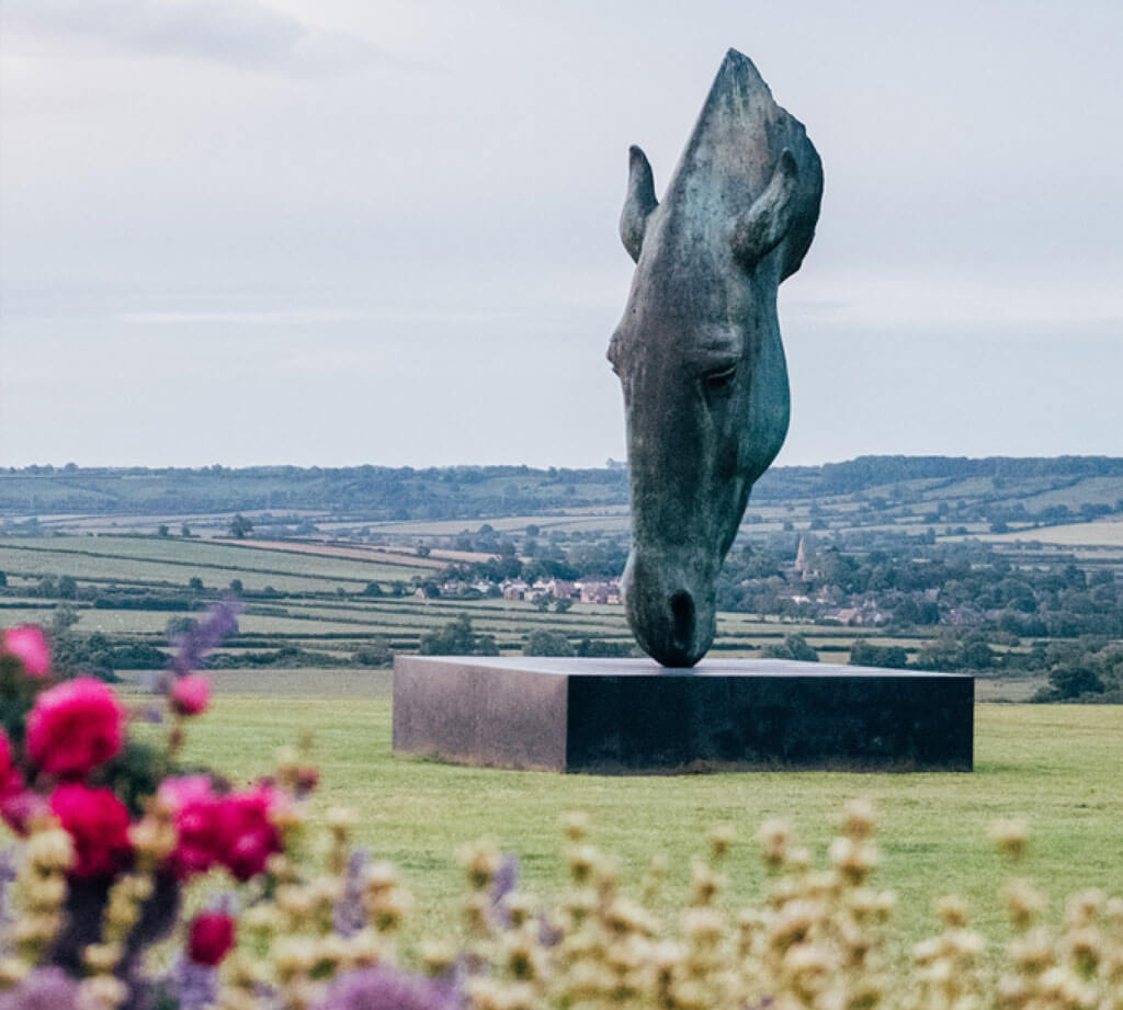 Horse Head